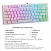 Liten RGB LED Bakgrundsbelyst Vattentät Mekanisk Gaming Keyboard med 81 Keys Anti-Ghost Keys DIY Blue Switches White Z88