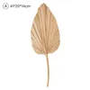 1pcs Palm Fan Floa foglia secchi Fiore Finestra Finestra Partito Art Parete Appeso Decorazione Arco di nozze Arco Disposizione decorativa Fiori Fiori Ghirlande