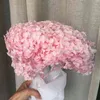 Geschenken voor vrouwen Natuur Vers Bewaarde Anna Hortensia Branch16-18cm Hoofd, DIY Huwelijk Bloemen, Bruidsboeket Cadeau Eternelle Rose Decor