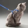 Colares de gato lidera 5 colorido colar de estimação ajustável para gatos aconchegante nylon gatinho kedi chicote colar