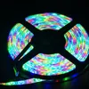 SMD 3528 5M 300led RGB neon led strip light Illuminazione esterna impermeabile o non impermeabile Multicolor Tape Ribbon 24keys controller Adattatore DC12V