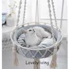 hammock di gatto sospeso