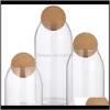 Housekeeping Organization Home Garden3Pcs Transparent Glass Storage Tank Borosilicate Sealed Grains Container With Cork Bottles & Jars Drop D