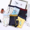 4P Casual Boys Kids Underkläder Söt Dinosaur Boxers För Toddler Baby Barn Bil Tränar Tecknad Pojke 4 Styck Byxor 3-15yrs 210622