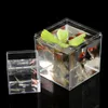 Aquariums Betta Fish Tank Gold Прозрачная Пищевая Пластиковая изоляция Квадратная Коробка с Крышками Аквариум Аксессуары