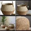 Organizzazione delle pulizie Giardino pieghevole Vaso da fiori naturale Seagrass Cesto di vimini Decorazioni per la casa Cestini portaoggetti da giardino Drop Delivery 2021 E7