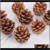 Décorations 10 Pcs Naturel Pommes De Pin Po Props Accessoires Décoration De Noël Arbre Toppers Pinecone Xmas Year Diy Party Decoration1 9 Sfqu8