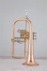 BB Tune Flugelhorn Rose Brass Plated Lacquer Metal Музыкальный инструмент Профессионал с мундштуком для корпуса аксессуары Golves