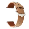 Cinta de couro Rebite para Apple Watch Band 42mm 38mm 40mm 44mm Moda Watchband Bracelete Iwatch Series 6 5 4 3 Wirstband 1 Pcs