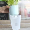 Vaso da fiori autoirrigante pigro Assorbimento automatico d'acqua Vaso da fiori per acquacoltura succulenta Vaso da fiori con irrigazione automatica