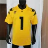 Oregon Ducks Football Jersey NCAA College Bo nix Bucky Irving James Troy Franklin Gary Bryant Jr. Tez Johnson Jeffrey Bassa Marcus Mariota Herbert Dante Dowdell