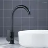 modern black faucet kitchen