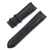 Watch Accessories Leather Strap For Tissot Cool Gallery Drawing Belt T035617A T035439A 22 23 24mm Black Brown Mens watch band