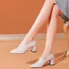 Chunky Heel Single Shoes Woman Pumps Womens High Heels Pekade Toe Slip på Kvinna Spring Fall Fashion Black Beige