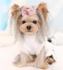 Abbigliamento per cani per compagnia vestito abito vestito in pile di fiocco ispessimento di cotone con un pezzo pantaloni alinone ticchiera maltese Yorkie8373910