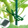 plastic plant supports