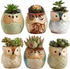 Owl Pot Ceramic Flowing Glaze Base Succulent Plant Cactus Flower Container Planter Bonsai krukor med ett hål perfekt