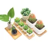 Jardinières Pots En Bois Bambou Plateau Plante Fleur Pot Soucoupe Rectangle Forme Succulent Cactus Titulaire Thé Tasse Palette Plaque Home Desk Decor