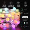 WiFi Fairy Lights LED屋外ライトガーランドRGB LEDS文字列照明Alexa Bluetooth Party LightingsクリスマスリモコンD1.5