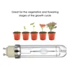 Other Lighting Bulbs & Tubes 315W 3000K 4000K Grow Light Horticultural Ceramic Metal Halide Bulb Full Spectrum CMH Lamp For Greenhouse Hydro