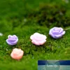 5pcs /ロットカラフルなミニシミュレーション花妖精の庭のミニチュアテラリウムアクセサリー2サイズのランダムミニガーデン装飾