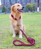 Hoogwaardige upgrade 1.5m verstelbare nylon hondenkraag leiband set huisdier zachte kragen voor grote honden verduren bijtriem huisdieren ketting touw zc491