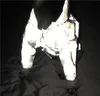 Moda Animali domestici Abbigliamento per cani Modello classico Riflettente Regolabile Imbracature per animali Cappotto Cute Teddy Felpe con cappuccio Suit Cani di piccola taglia Accessorio luminoso