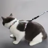 Kedi Yağları Pet Ayarlanabilir Koşum Yelek Yürüyüş Kurşun Tasma Yavru Köpekler Yaka Nefes Küçük Orta