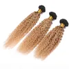 Два тона, окрашенные 1b 27 мёд блондинки темный корневой ombre afro kinky вьющиеся перуанские девственницы человеческие волосы плетение уток утка 3 пакета много