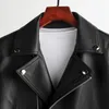 Real Sheepskin Coats Kobiety Kobieta Prawdziwej Skóry Motocykl Blazer Kołnierz Krótkie Kurtki Zipper Kieszonkowy Znosić Plus Size