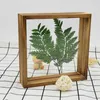 Frames voor foto's Creative Wood Dubbelzijdig Plant Specimens Po Frame DIY Wall Art Opknoping Fotolijsten Home Decor Gift 210611