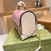 Одиночная плечевая сумка для посылки женская писем печатает crossbody задняя пакет квадратная блокировка сумки классические золотые цепные клапаны пакеты светло-золотой аппарат