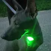 Truelove Pet Safety Lampeggiante per cani Luce a led Accessori per cani Ciondolo luminoso a LED Notte esterna per Collare Pettorina Prodotti per animali 211006