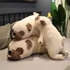 Peluş Pug Oyuncak Dolması Peluş Hayvan Shar Pei Yumuşak Bebek Köpek Peluş Oyuncak Yastık Çocuk Oyuncakları Doğum Günü Hediyesi Kız Arkadaşı için 210724