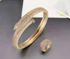 Donia Jewelry Luxus-Armreif, übertrieben, Titanstahl-Armband, Mikro-Intarsien, farbiger Zirkon, europäische und amerikanische Mode, Des252W