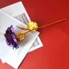Artificial Long Stem Flower 24k Gold Foil Plated Rose Gifts for Lover Wedding Christmas Valentines Mothers Day Home Decoration ZWL456