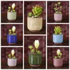 Gelo rachado mini vaso de flores cerâmicas suculentas vasos de jardim flores cultivam fundo respirável flor panela casa decoração bh6124 tyj