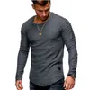 Camiseta de manga larga con detalle de parche plisado de Color sólido 2021 para hombre, camisetas casuales de primavera, jerséis, moda básica ajustada