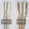 Natural Real Pampas Grass Table Dried Flowers Decor Boho Artificial Plants Mariage Home Decoration Wedding Christmas Accessories 211122