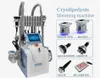 Corps de cryolipolyse portable d'usine congélation des graisses amincissant la réduction de poids de la machine à vendre laser lipo machine SPA utiliser # 0224
