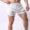 Shorts de course maille hommes Sport Slim Fit musculation Fitness vtt bas Boxer pantalons de survêtement homme pantalons courts Gym