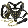 leather collars for mastiffs
