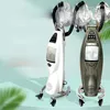 Salon Hair Care Instrument with 2 Caps and Anion Color Processor Oil Treatment Accelerator Stand Up Base Hair Steam Machine Equipment