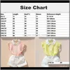 Babykleidung Baby Umstandsmode Drop Lieferung 2021 Ankunft Sommer Chiffon Coole Tops Teenager Mädchen Rüschenbluse Kinder ärmellos Umlegekragen