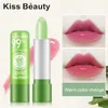 12pc/SET 3,5g Bálsamo labial colorido que muda de cor Brilho labial Aloe Vera Batom hidratante de longa duração para lábios atacado