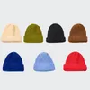 Trendy Fashion Loose Thick Woolen Candy Color Wild Wool Hat Autumn Winter Warm Ear Protection Knitted Hats For Men And Women Gift XG0195