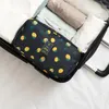 저장 서랍 나일론 홈 브라 백 홀더 속옷 양말 주최자 가방 휴대용 여행 멀티 기능 옷장 주최자