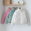 Koreaanse stijl vaste winter jas jas vrouwen stand kraag parka vrouwelijke warme katoen gevoerde korte jassen vrouw uitloper 210514