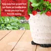 Piedini per vasi per piante EVA Invisible Flower Riser Pad Contenitori per giardinaggio Accessori per vasi per fioriere da giardino