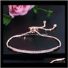 Charm Bracelets Jewelryadjustable Bracelet Bangle For Women Captivate Bar Slider Brilliant Cz Rose Gold Color Jewelry Pulseira Feminia Drop